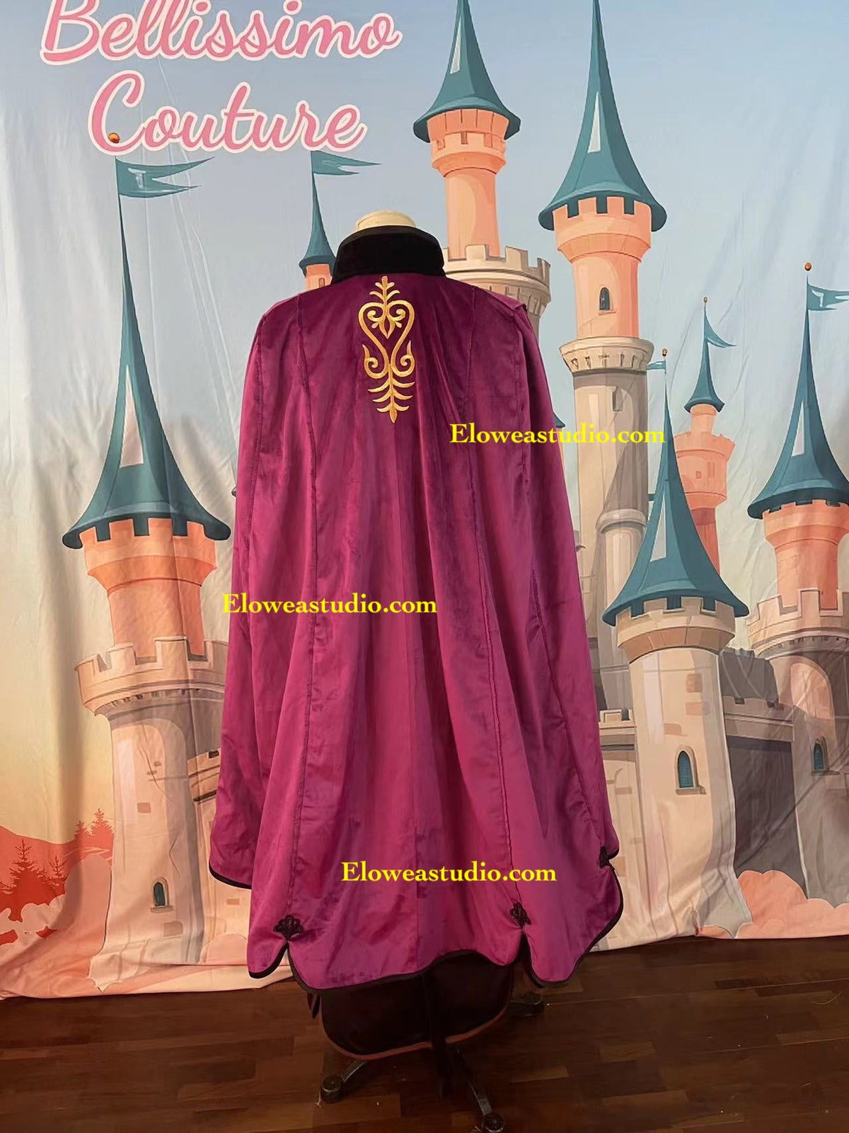 Anna Inspired Adventure Dress with Purple Velvet Cape
