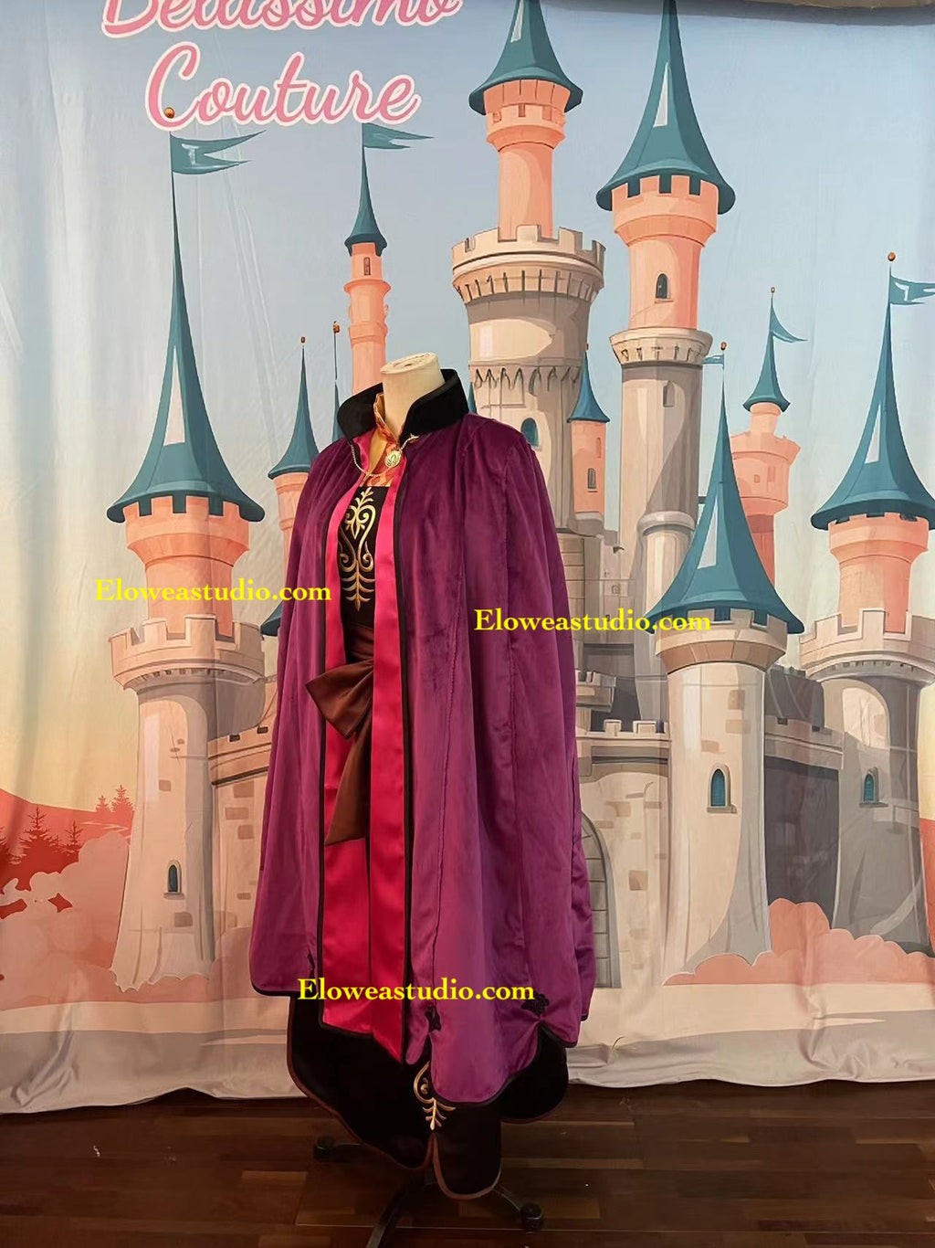 Anna Inspired Adventure Dress with Purple Velvet Cape