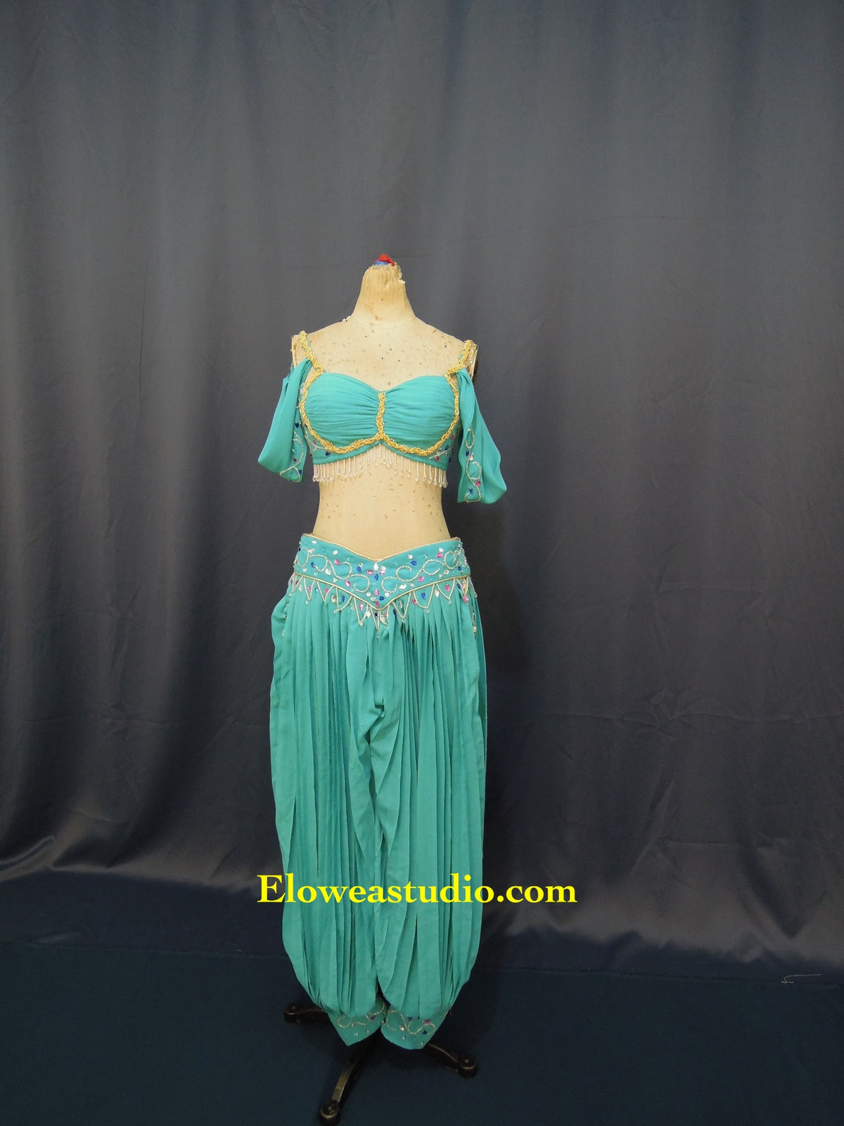 Arabian Princess Inspired Turquoise Two-Piece Costume – Beaded Crop Top & Harem Trousers