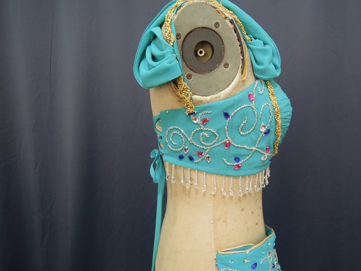 Arabian Princess Inspired Turquoise Two-Piece Costume – Beaded Crop Top & Harem Trousers