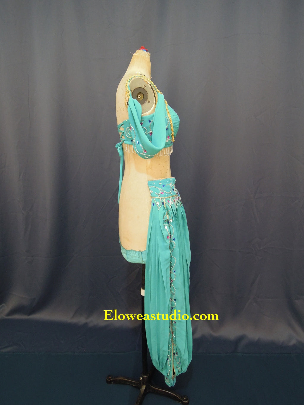 Arabian Princess Inspired Turquoise Two-Piece Costume – Beaded Crop Top & Harem Trousers